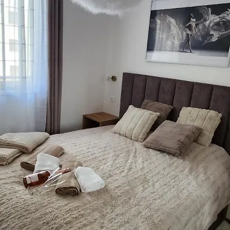 Molly 兹拉蒂博尔