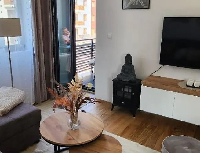 Molly * 즐라티보