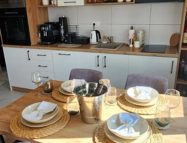 Molly * 즐라티보